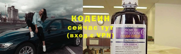 твердый Зеленодольск