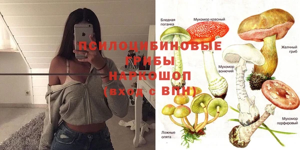твердый Зеленодольск